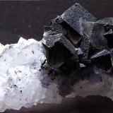 Fluorite on Quartz with Marcasite,
Frasers Hush Mine,Rookhope, Weardale, Co Durham, England, UK.
50 x 30 mm (Author: nurbo)