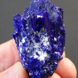 Azurite
Tsumeb, Namibia
53 x 15 x 14 mm
same as above. (Author: Pierre Joubert)