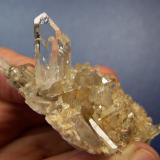 Quartz
Ceres, Western Cape, SA
66 x 48 x 23 mm
This lovely group of clear quartz crystals, was removed (with gentle, patient care, by my wife) from a small pocket in sandstone about a km from our home. (Author: Pierre Joubert)