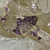 Hibschite
Poudrette quarry (Demix quarry; Uni-Mix quarry; Desourdy quarry; Carrière Mont Saint-Hilaire), Mont Saint-Hilaire, Rouville RCM, Montérégie, Québec, Canada
FOV=3mm
Hibschite is the octrahedral crystals on pectolite with fluorite (Author: Doug)