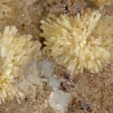 Lemoynite
Poudrette quarry (Demix quarry; Uni-Mix quarry; Desourdy quarry; Carrière Mont Saint-Hilaire), Mont Saint-Hilaire, Rouville RCM, Montérégie, Québec, Canada
FOV=3.5mm (Author: Doug)