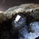 Fluorite and Quartz,
Swinehope Head, Daddry Shield, Weardale, Co Durham, England, UK.
Fluorite to 7 mm (Author: nurbo)