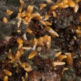 Wulfenita con Mimetita
Mina Ojuela, Mapimí, Durango, México
15x9 cm
Detalle de la anterior (Autor: victor chaul chamut)