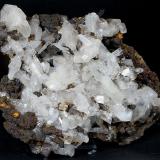 Hemimorfite and Calcite
Ojuela Mine, Mapimí, Mun. de Mapimí, Durango, Mexico
12x9 cm.
Fot. & Col. Juan Hernandez.
Adquired in July of 2009. (Author: supertxango)