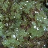 Adamite
Ojuela Mine, Mapimí, Mun. de Mapimí, Durango, Mexico
12x7 cm.
Crystal Size: 4 mm.
Fot. & Col. Juan Hernandez.
Adquired in July of 2009.

Detail of the previous specimen (Author: supertxango)