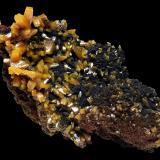 Wulfenite
Level 6, Ojuela Mine, Mapimí, Mun. de Mapimí, Durango, Mexico
8x5 cm.
Fot. & Col. Juan Hernandez.
Adquired in July of 2009. (Author: supertxango)