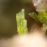 Epidota
Torás, Castellón, Comunidad Valenciana, España
cristal de 0,5 mm. (Autor: josminer)