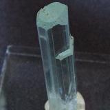 Aquamarine,
Gilgit/Baltistan Area, Pakistan.
30 x 6 mm (Author: nurbo)