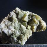Calcita
Alamedilla, Granada, Andalucía, España
4x2 cm.
Cristales verdes pseudocúbicos de la zona marginal de las pillow-lavas, junto a la ladera sur. (Autor: prcantos)