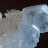 Celestina y CalcitaCantera Casablanca, Lloma Alta, Les Boqueres, San Vicente del Raspeig/Sant Vicent del Raspeig, Comarca Campo de Alicante, Alicante / Alacant, Comunidad Valenciana / Comunitat Valenciana, EspañaCristal: 1 x 0,4 cm. (Autor: javier ruiz martin)