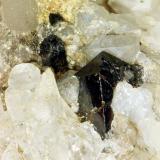 Casiterita.
Grupo minero "Ceres", Cardeña, Córdoba, Andalucía, España.
Cristal de 1 cm. (Autor: Antonio Carmona)