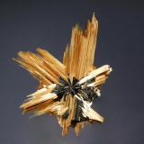 Rutile
Novo Horizonte, Bahia, Brazil
3.1 x 4.3 cm.
Found in 2010. (Author: crosstimber)