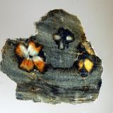 Andalusite var. chiastolite
Lancaster, Worcester County, Massachusetts (Author: crosstimber)