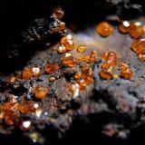 Wulfenite on Goethite.
Whim Creek, Pilbara Region, Western Australia, Australia.
20 x 13 mm approx (Author: nurbo)