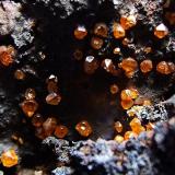 Wulfenite on Goethite.
Whim Creek, Pilbara Region, Western Australia, Australia.
20 x 15 mm approx (Author: nurbo)