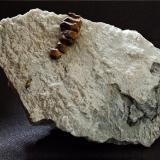 Pyrite on Aragonite
Haider Quarry, Radl Pass, Eibiswald, Wies, Koralpe, Styria, Austria.
75 x 40 mm (Author: nurbo)