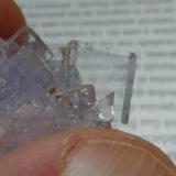 FluoritaEmilio Mine, Obdulia vein, Caravia mining area, La Rubiera, Loroñe, Colunga, Comarca de la Sidra, Principality of Asturias (Asturias), Spain4 x 3 cm. (Autor: javier ruiz martin)