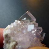 FluoritaEmilio Mine, Obdulia vein, Caravia mining area, La Rubiera, Loroñe, Colunga, Comarca de la Sidra, Principality of Asturias (Asturias), Spain4 x 3 cm. (Autor: javier ruiz martin)