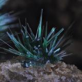 Malaquita.
Mina Sol, Cerro de los guardias, Rodalquilar, Nijar, Almería, Andalucía, España
Campo de visión 4,2 mm. (Autor: Juan Miguel)