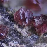 Sin analizar.
Concesión La Cena del Depósito, Cerro Minado, Cuesta Alta, Huercal Overa, Almería, Andalucía, España.
Campo de visión 1 mm. (Autor: Juan Miguel)