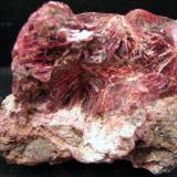 Eritrita
Bou Azzer, Tazenakht, Ouarzazate, Región de Souss-Massa-Draâ, Marruecos
56 x 47 x 42 mm (Autor: José Luis Zamora)