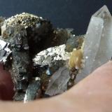 Arsenopirita, Cuarzo y Siderita
Panasqueira, Portugal
5,5 x 5,5 cm.

Detalle (Autor: javier ruiz martin)