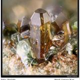 Vesuvianite
Felskinn, Fee Glacier, Saas Fee, Zermatt, Wallis, Switzerland
fov 2 mm (Author: ploum)