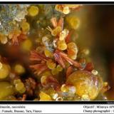 Beraunite, cacoxenite
Fumade, Castelnau-de-Brassac, Tarn, Midi-Pyrénées, France
fov 1.4 mm (Author: ploum)