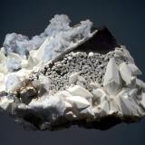 Calcite on fluorite with celestite
Annabel Lee Mine, Harris Creek Sub-District, Hardin Co., Illinois
8.0 x 10.6 cm.
Scalenohedral yellow calcite crystals coated with a second generation of snow-white calcite on dark purple fluorite with druzy blue celestite. Mined 11-13-1987. (Author: crosstimber)