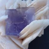 Fluorita y barita<br />La Cabaña, Valdelmar, zona minera de Berbes, Berbes, Ribadesella, Comarca Oriente, Principado de Asturias (Asturias), España<br />6 x 5 cm.<br /> (Autor: javier ruiz martin)