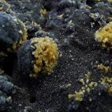Pyromorphite on Campylite
Dry Gill Mine, Caldbeck Fells, Cumbria, England, UK.
FOV 30 x 20 mm approx (Author: nurbo)
