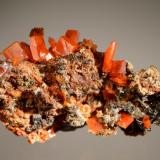 Wulfenite
Red Cloud Mine, Silver District, Trigo Mts., La Paz Co., Arizona
4.6 x 8.2 cm (Author: crosstimber)