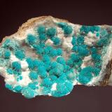 Aurichalcite
’79 Mine, 350’ Stope, Hayden, Banner District, Gila Co., Arizona
4.5 x 8.1 cm
Turquoise spheres of aurichalcite with drusy gray/white smithsonite. (Author: crosstimber)