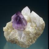 Quartz variety amethyst scepter
Hopkinton, Washington Co., Rhode Island, USA
5.3 cm high
Steve Maslansky collection
Photo: Jeff Scovil (Author: Jordi Fabre)