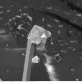 Galena y pirostilpnita
Hiendelaencina, Guadalajara, Castilla-La Mancha, España
Una curiosa imagen de un cristal de galena que ha crecido justo en la punta de un cristal de pirostilpnita, que es relativamente frecuente en Hiendelaencina y algunas personas la han confundido con proustita a veces. (Autor: Cesar M. Salvan)