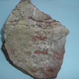 cuarcita armoricana con icnofósiles<br />Cerro del Milano, Cáceres ciudad, Comarca de Cáceres, Cáceres, Extremadura, España<br />10 x 11 cm<br /> (Autor: Antonio GG)
