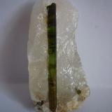 Elbaita (variedad Verdelita).
Minas Gerais, Brasil.
Muestra de 9 x 3,5 cm.
Cristal de Elbaita de 7 x o,6 cm. en matriz de Cuarzo. (Autor: Rafael varela olveira)