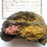 Rhodochrosite, limonite
Frauenberger Einigkeit mine, Neunkirchen, Siegerland, Germany.
9 x 5,5 cm
The Frauenberger Einigkeit mine is one of the oldest Siegerland locations for Rhodochrosite. It produced scalenohedrons up to 3 cm long before the famous Wolf mine specimens were known. Neunkirchen rhodochrosites are extremely rare! (Author: Andreas Gerstenberg)