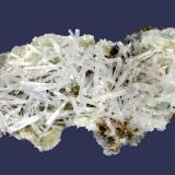 Natrolite and prehnite
Millington Quarry, Bernards Township, Somerset Sounty, New Jersey, USA
8.8 x 5 cm
Translucent natrolite crystals to 2.8 cm on prehnite (Author: Frank Imbriacco)