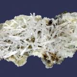Natrolite and prehnite
Millington Quarry, Bernards Township, Somerset Sounty, New Jersey, USA
8.8 x 5 cm
Translucent natrolite crystals to 2.8 cm on prehnite (Author: Frank Imbriacco)
