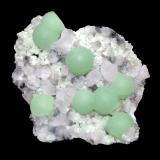 Prehnite and calcite
Upper New Street quarry, Paterson, Passaic County, New Jersey, USA
6.9 x 7 cm
Prehnite spheres to 1.8 cm on calcite (Author: Frank Imbriacco)
