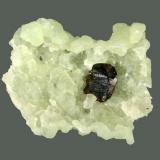 Sphalerite and prehnite
Millington Quarry, Bernards Township, Somerset County, New Jersey, USA
5 x 4.2 cm
A 1.3 cm flattened sphalerite crystal due to pseudomorphing after anhydrite (Author: Frank Imbriacco)