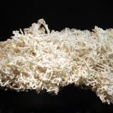 Aragonite
Styrian Erzberg, Eisenerz, Styria, Austria
7.0 x 12.5 cm.
Aragonite var. flos ferri from a classic Austrian locality. (Author: crosstimber)