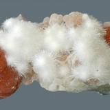 Pectolite and natrolite
Millington Quarry, Bernards Township, Somerset County, New Jersey, USA
7.9 x 4.4 cm
Pectolite spheres to 1.6 cm with natrolite (Author: Frank Imbriacco)