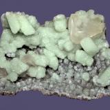 Prehnite and calcite
Weldon Quarry, Watchung, Somerset County, New Jersey, USA
12.5 x 8.6 cm
Calcite crystals to 3.2 cm on prehnite epimorphs after glauberite (Author: Frank Imbriacco)