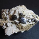 Magnetita
Imilchil, Alto Atlas, Marruecos
4&rsquo;5 x 4&rsquo;5 cm. ; 6 mm. la arista principal del octaedro mayor
Octaedros de magnetita con caras escalonadas implantados en la albita de una pegmatita de feldespato. (Autor: prcantos)