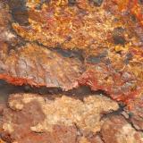 Beraunita y Cacoxeno ( Detalle ) -
Minas del Horcajo - El Horcajo - Valle de Alcudia - Ciudad Real - Castilla La Mancha - España - 
12,1 x  9,7 x 4,8 cm (Autor: Martí Rafel)