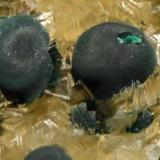 Malaquita sobre dolomitaTeresita Mine (Aramo Mine; Texeo Mines), Llamo, Riosa, Comarca de Oviedo, Principality of Asturias (Asturias), SpainBotones de 1 cm. (Autor: Quexigal)