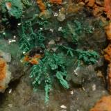 Malaquita sobre dolomitaTeresita Mine (Aramo Mine; Texeo Mines), Llamo, Riosa, Comarca de Oviedo, Principality of Asturias (Asturias), Spain3 x 3 cm. (Autor: Quexigal)