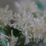 Mimetita.
Mina La Reforma, El Pinar de Bédar, Almería, Andalucía, España.
Campo de visión 1 mm. (Autor: Juan Miguel)
